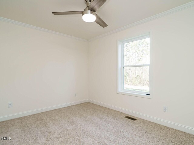 unfurnished room with crown molding, ceiling fan, and carpet flooring