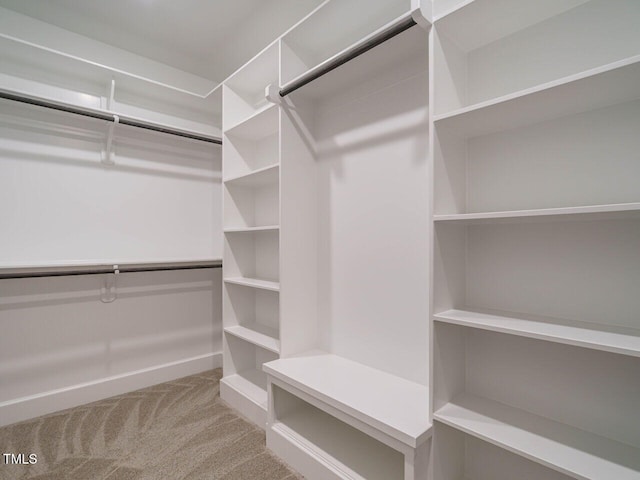 spacious closet featuring carpet flooring