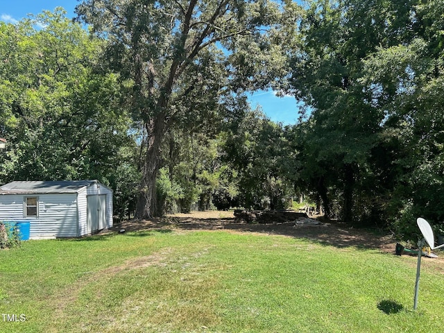 view of yard featuring a storage unit