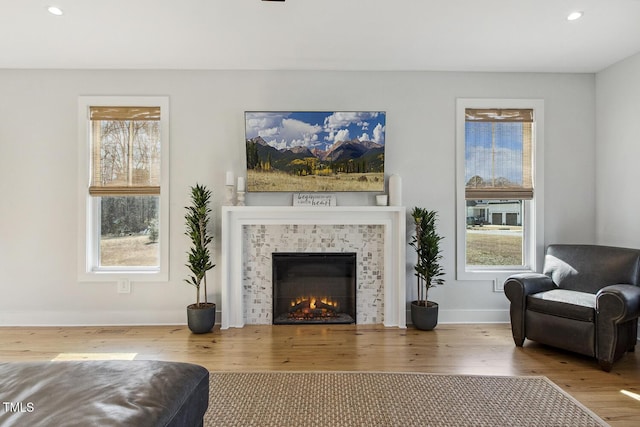 living room featuring wood-type flooring and a fireplace