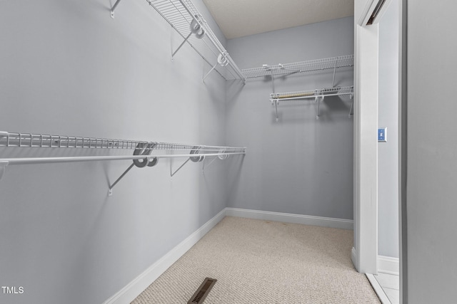 spacious closet with light colored carpet