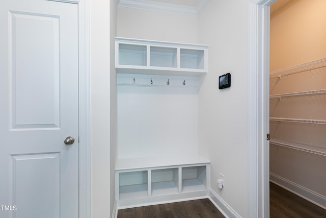 mudroom featuring crown molding and dark hardwood / wood-style flooring