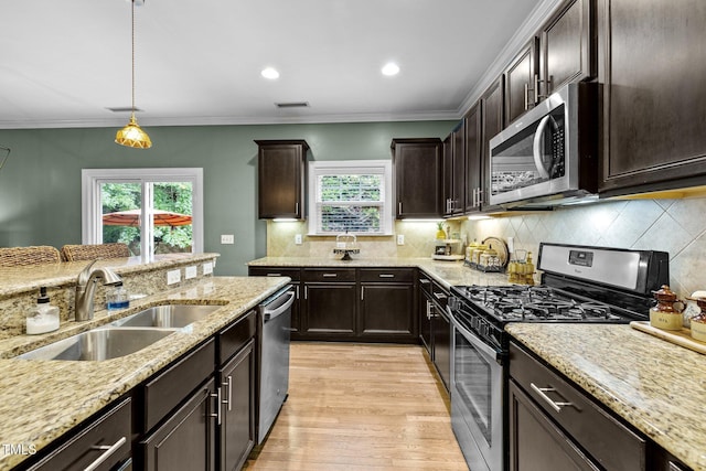 kitchen featuring pendant lighting, sink, light hardwood / wood-style flooring, appliances with stainless steel finishes, and dark brown cabinetry