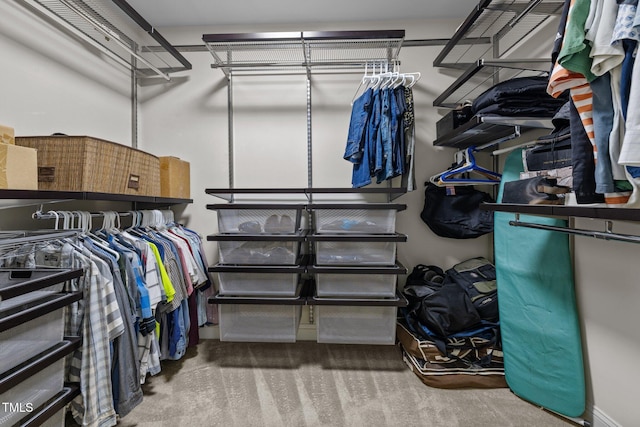 walk in closet featuring carpet flooring