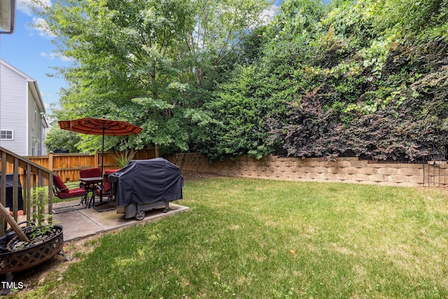 view of yard with a patio area