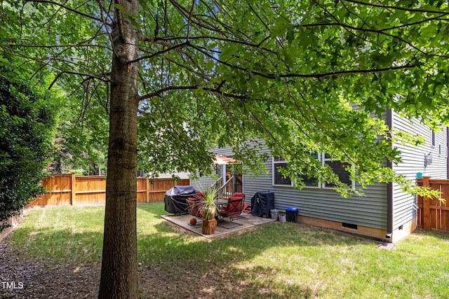 view of yard featuring a patio area