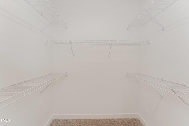 spacious closet with carpet floors