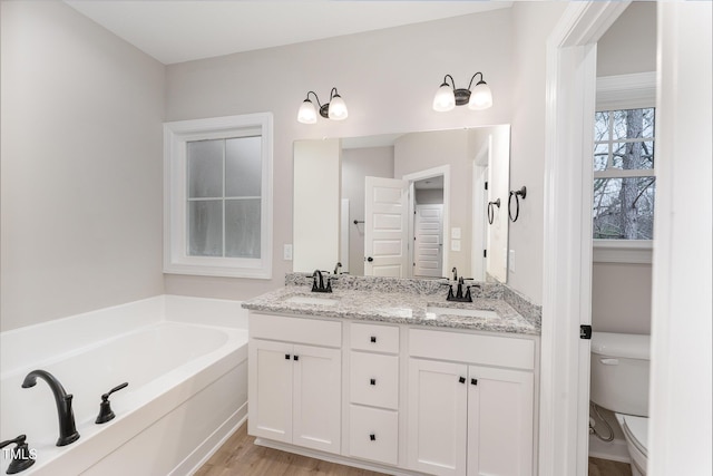 bathroom with vanity, toilet, wood-type flooring, and a washtub