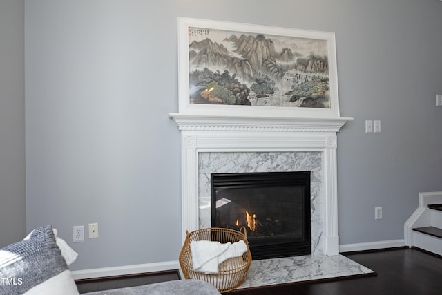 details featuring hardwood / wood-style floors and a premium fireplace