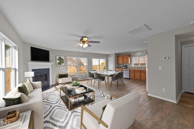 living room featuring baseboards, visible vents, a ceiling fan, a fireplace with flush hearth, and wood finished floors