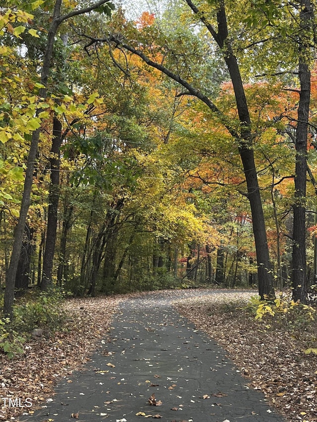 view of home's community featuring a forest view