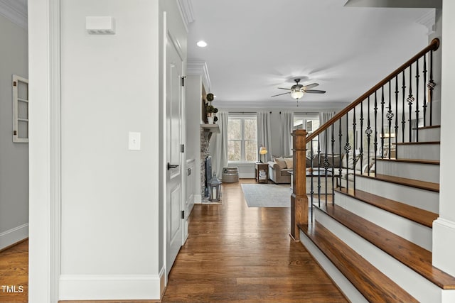 foyer entrance featuring crown molding, dark hardwood / wood-style floors, and ceiling fan