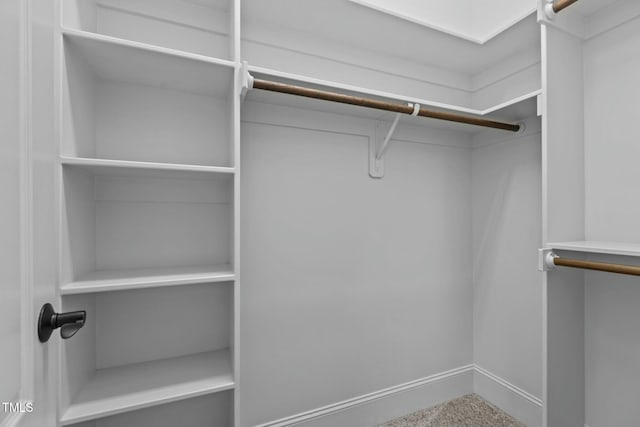 view of spacious closet