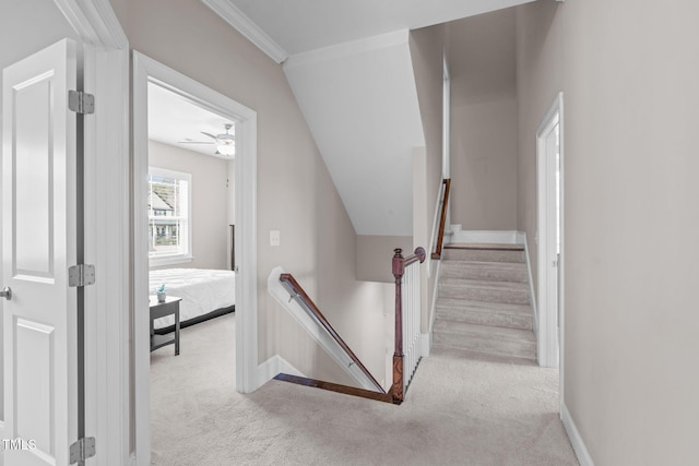 staircase featuring carpet and baseboards