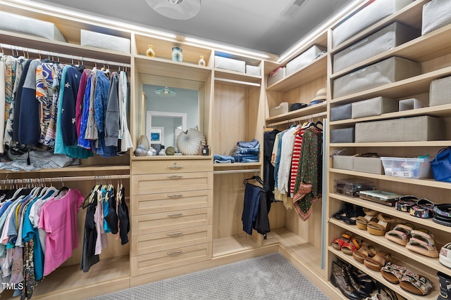 spacious closet featuring visible vents