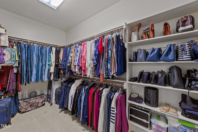 spacious closet featuring carpet