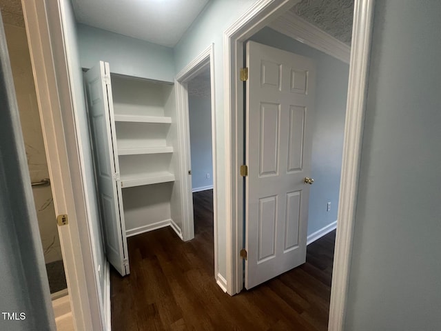 corridor with dark wood-type flooring and ornamental molding