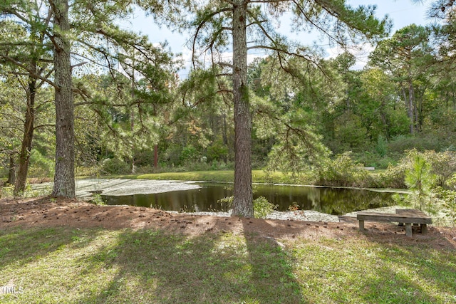 view of water feature