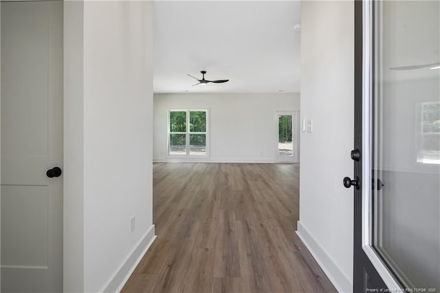 4935 High Branch Ct, Stedman, NC 28391 - corridor featuring baseboards and wood finished floors