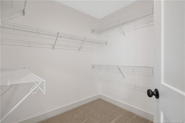 4935 High Branch Ct, Stedman, NC 28391 - spacious closet with carpet flooring