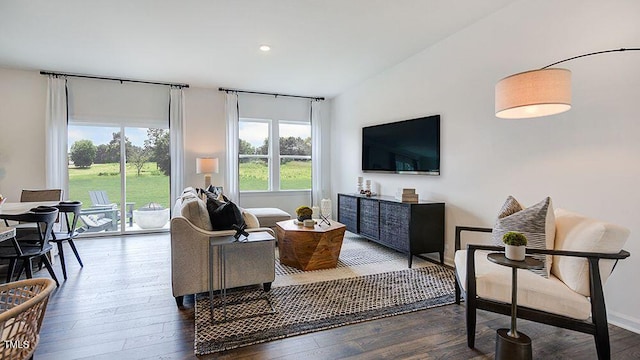 living room with dark wood-type flooring