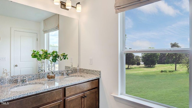 bathroom with a wealth of natural light and vanity