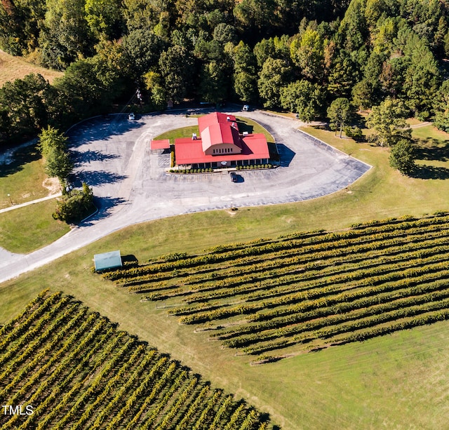 bird's eye view with a rural view