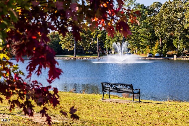 view of water feature