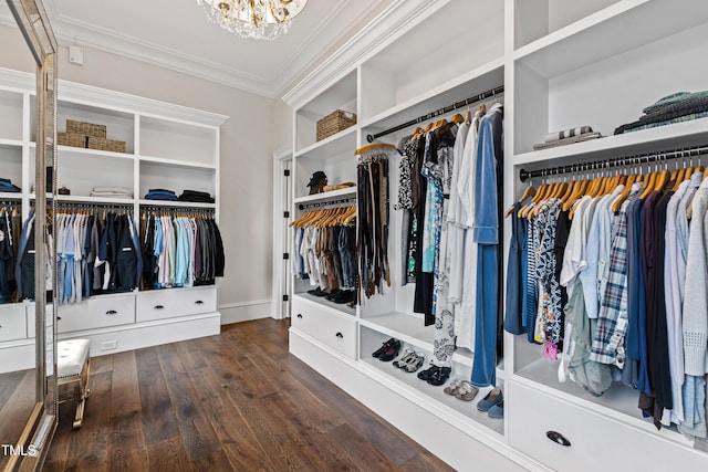 spacious closet featuring dark hardwood / wood-style flooring and a chandelier