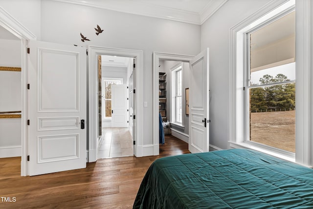 bedroom featuring crown molding and dark wood-type flooring