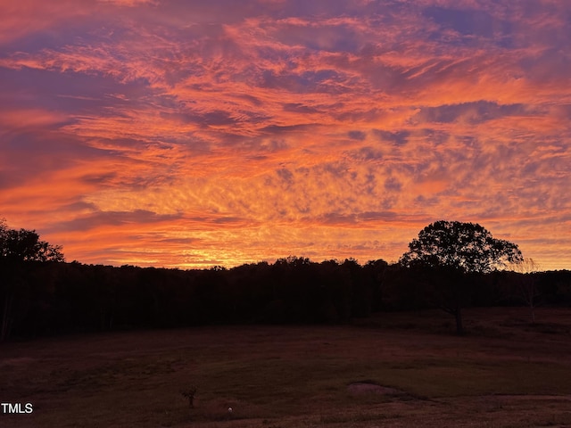 view of nature at dusk