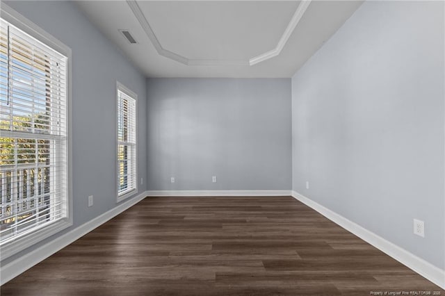 unfurnished room with dark hardwood / wood-style flooring and a raised ceiling