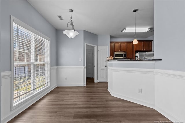 kitchen with pendant lighting, stainless steel appliances, a wealth of natural light, and dark hardwood / wood-style floors