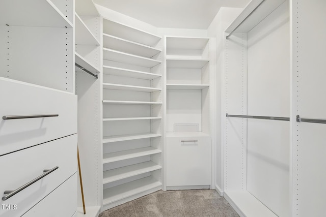 walk in closet featuring light colored carpet