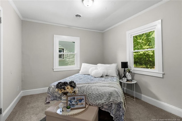 carpeted bedroom with crown molding and multiple windows