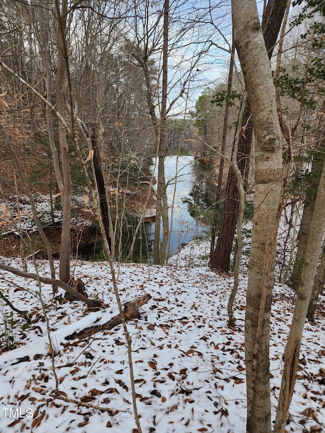 view of snowy view