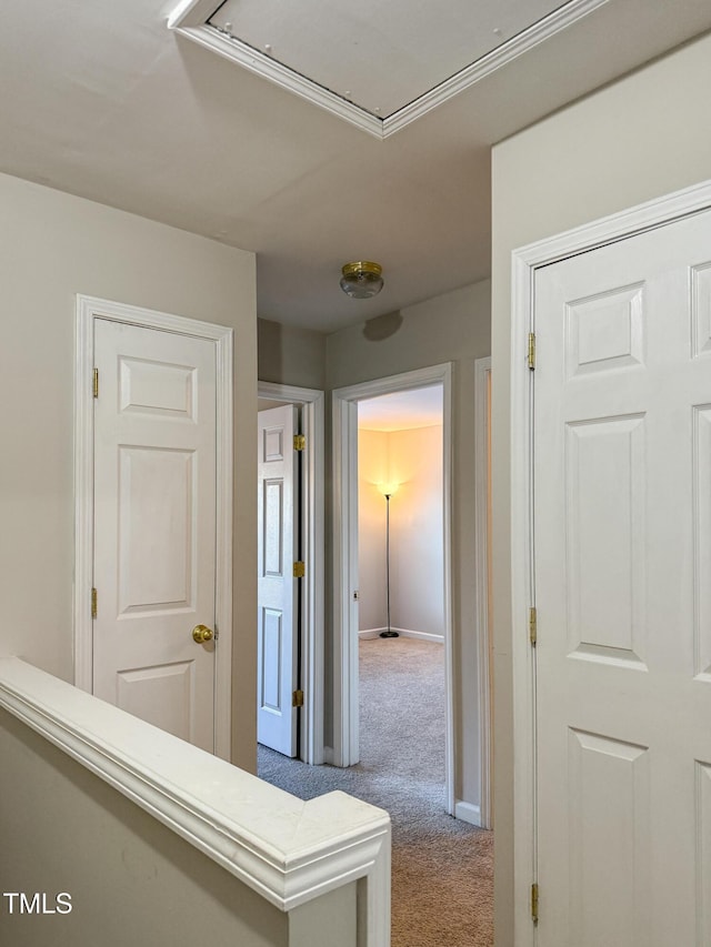 corridor with carpet floors