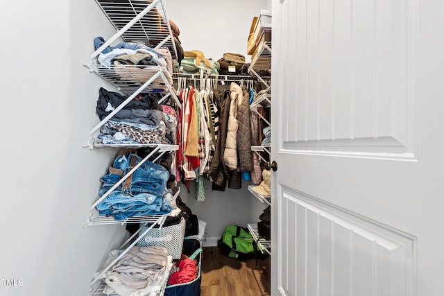 spacious closet featuring wood-type flooring