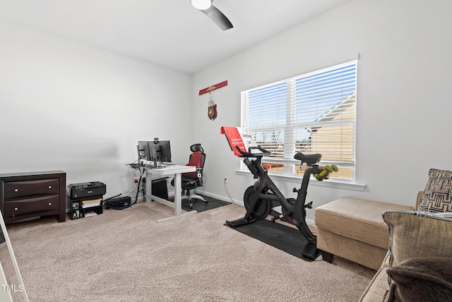 workout area featuring ceiling fan and carpet flooring