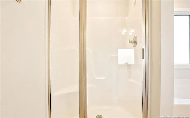 bathroom with plenty of natural light and walk in shower