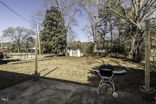 view of yard with a storage shed and a patio