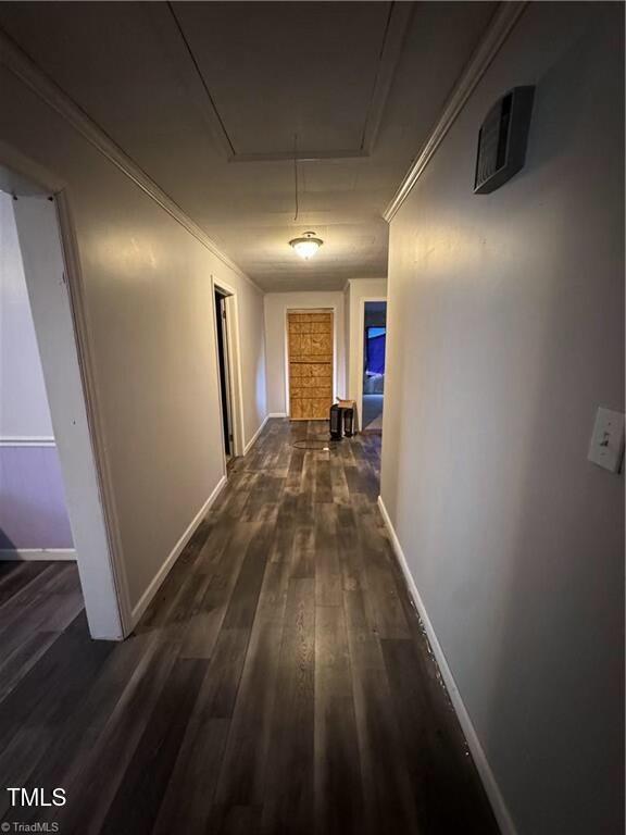 hallway with crown molding and dark hardwood / wood-style flooring