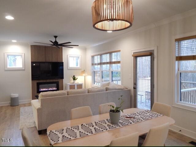 dining room featuring crown molding, ceiling fan, and light wood-type flooring