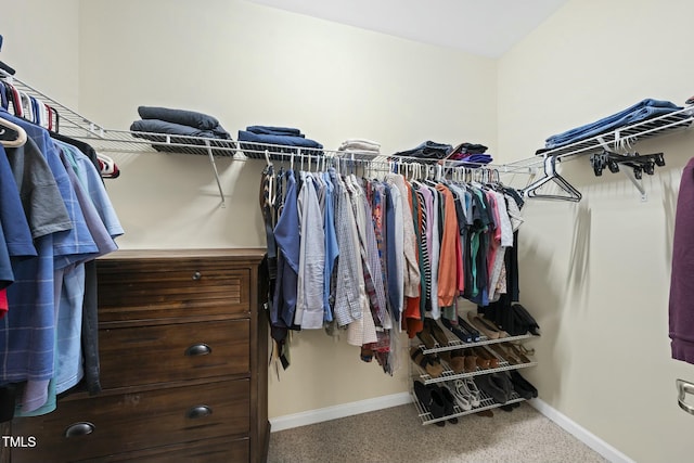 walk in closet featuring carpet