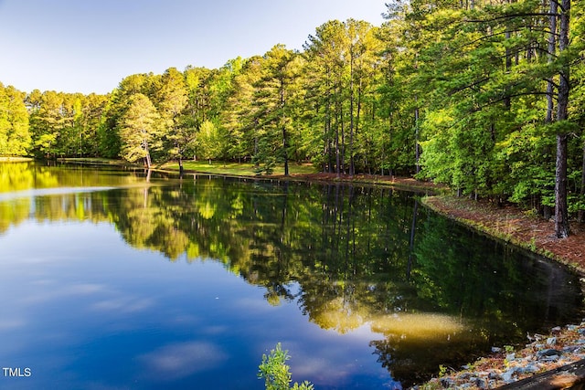 property view of water