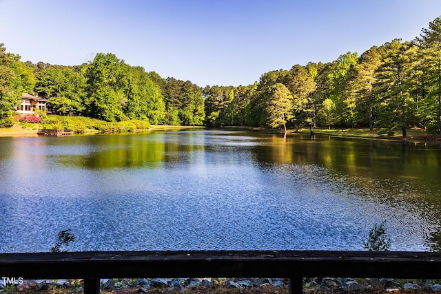 property view of water