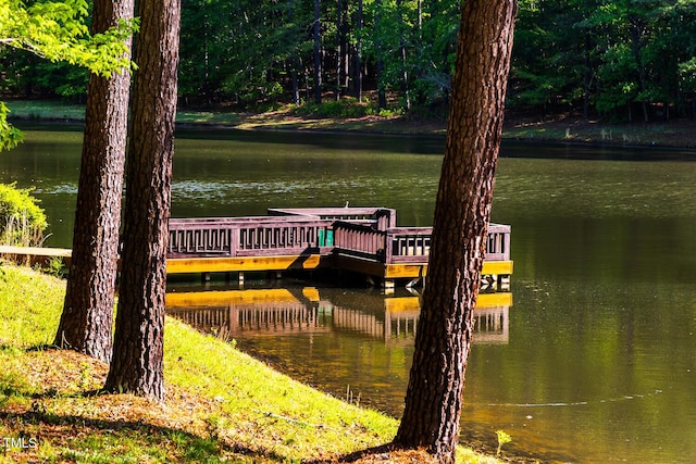 dock area featuring a water view