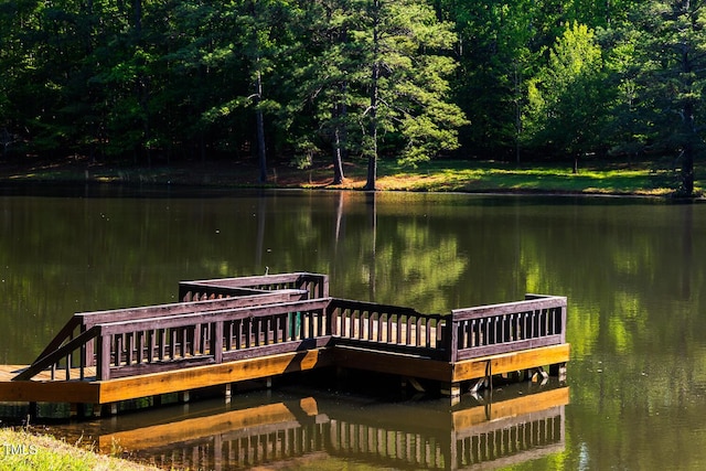 dock area with a water view