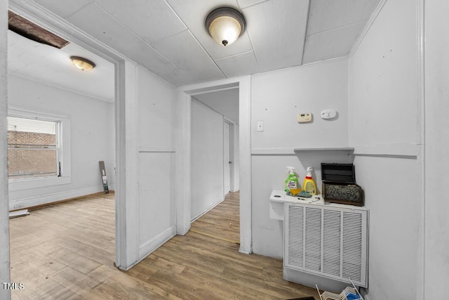 hallway with wood-type flooring