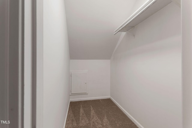 walk in closet with carpet floors and vaulted ceiling